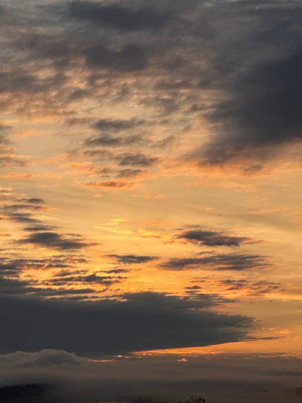Dramatic sunset cloudscape with fog and golden light