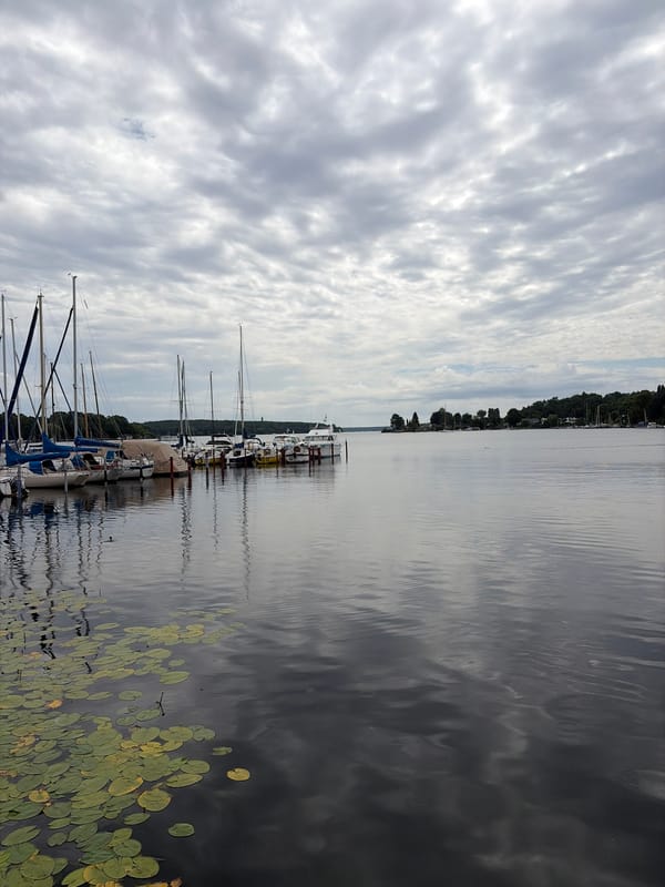 Lily pad marina, Monkey Puzzle tree, and butterflies on a cloudy day