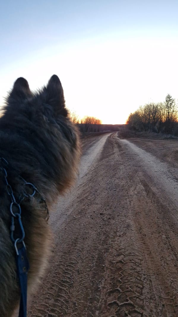 Sunset documented along dirt road in Otchor, Russia