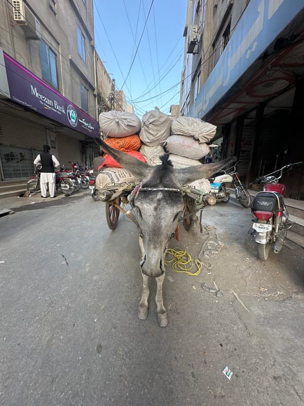 Street vendors work with pack donkey in Quetta