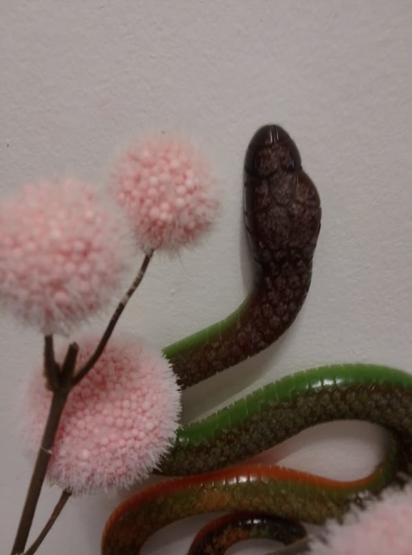 Food spreads and decorative snake objects photographed in Wedel