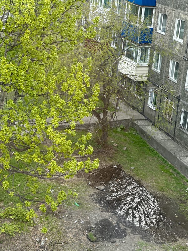 Home interior and exterior scenes in Petropavlovsk-Kamchatsky springtime