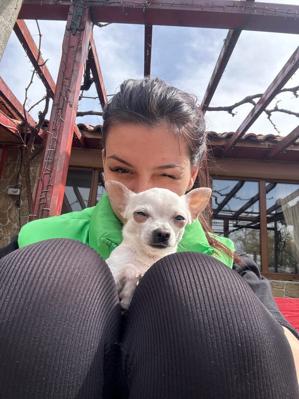 Woman poses with white Chihuahua on Bulgarian terrace