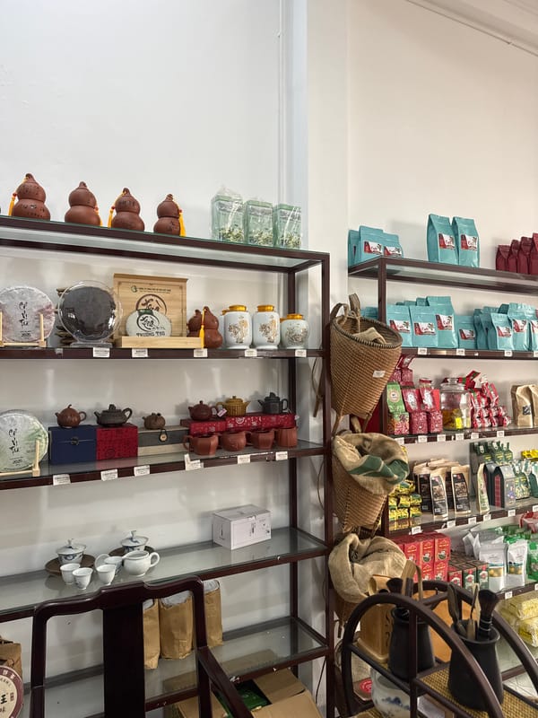 Daily life documented in Vietnamese tea district