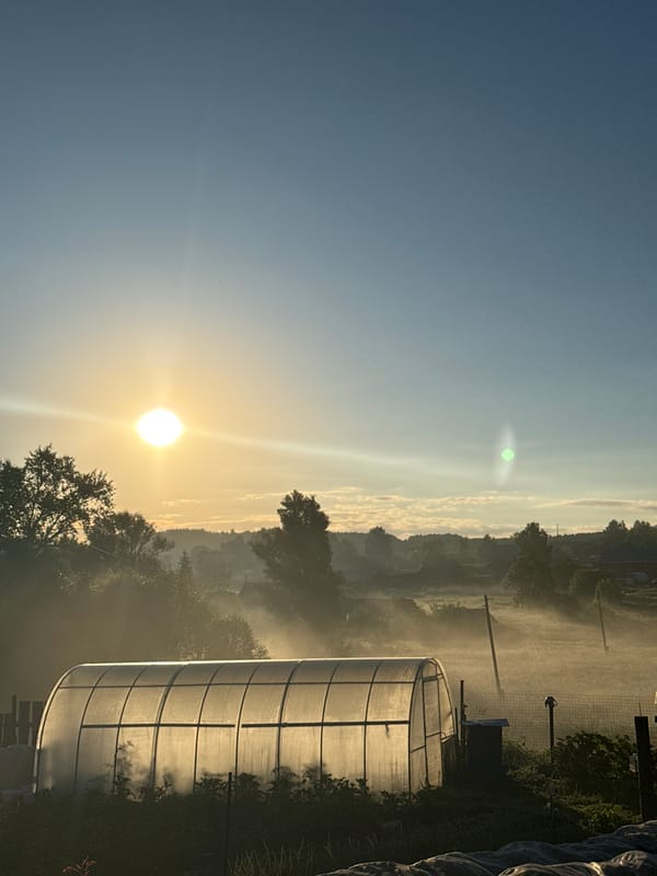 Misty sunrise over a rural greenhouse in Uralskoye, Russia