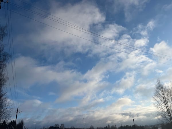 Winter morning walk captured in Павловка, Russia