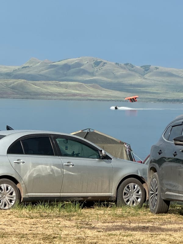 Lakeside camping in Жемчужный, Russia, with seagulls in tow