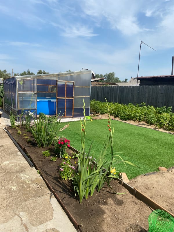 Summer at a Russian home: garden, sunflower, and living room