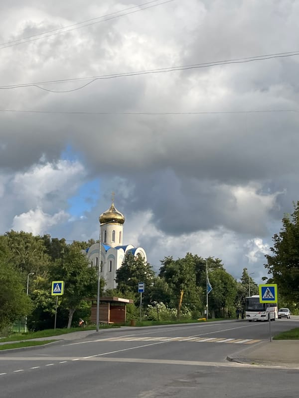 Afternoon walk with a toddler and dog through Pionersky