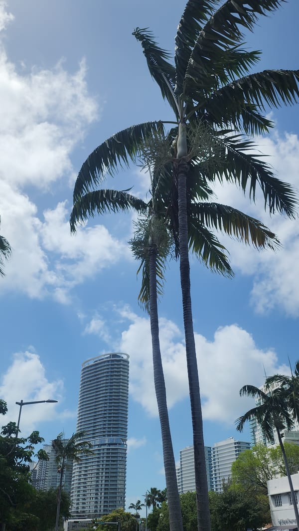 Miami Beach sky photographed from ground level