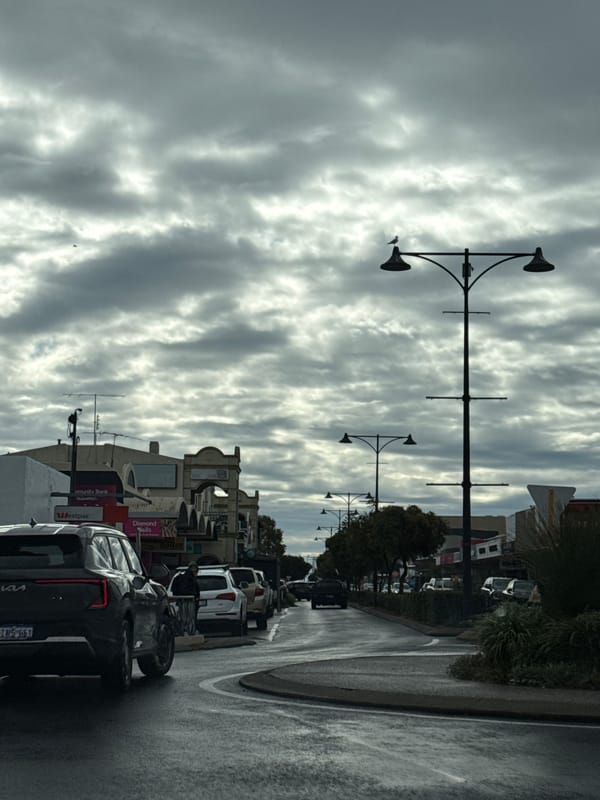 Overcast morning snapshots: streets, flowers, and vinyl records