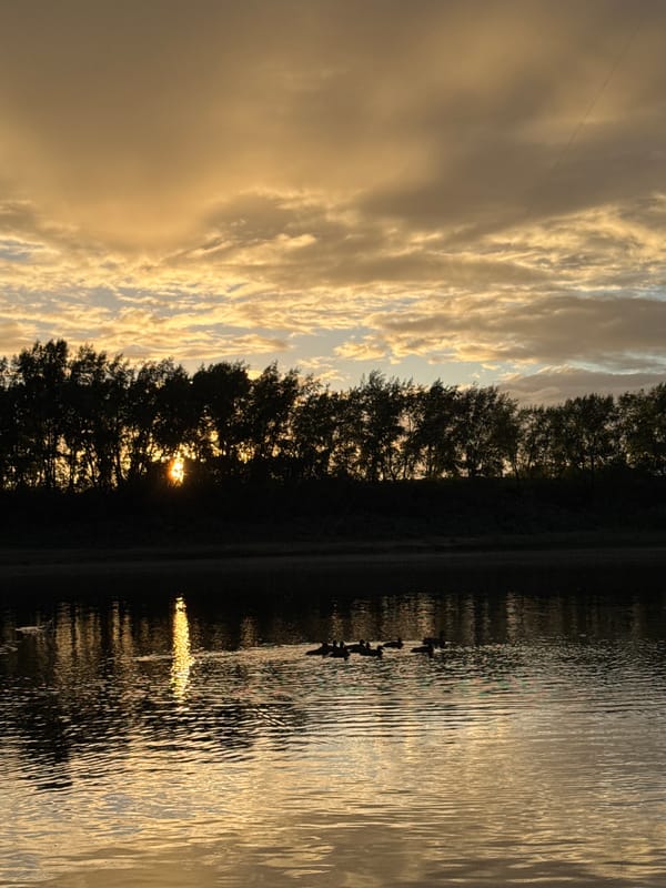 Golden hour on the Kama River: fishing, ducks, and sunset.