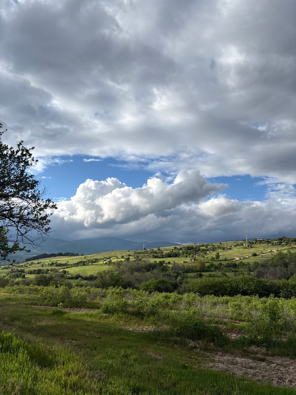 Dog walk documented in Bulgarian countryside near Panagyurishte