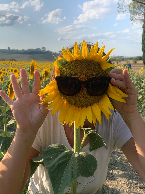 Playful moment in a Tuscan sunflower field, summer 2026