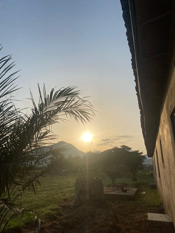 Sunrise over Tavo, Nigeria — palms, haze, and construction