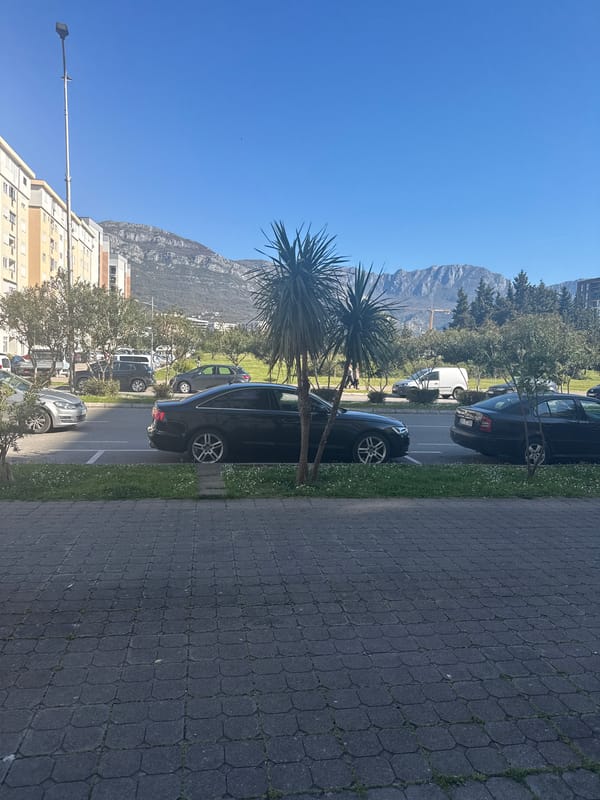 Urban street scene with parked cars observed