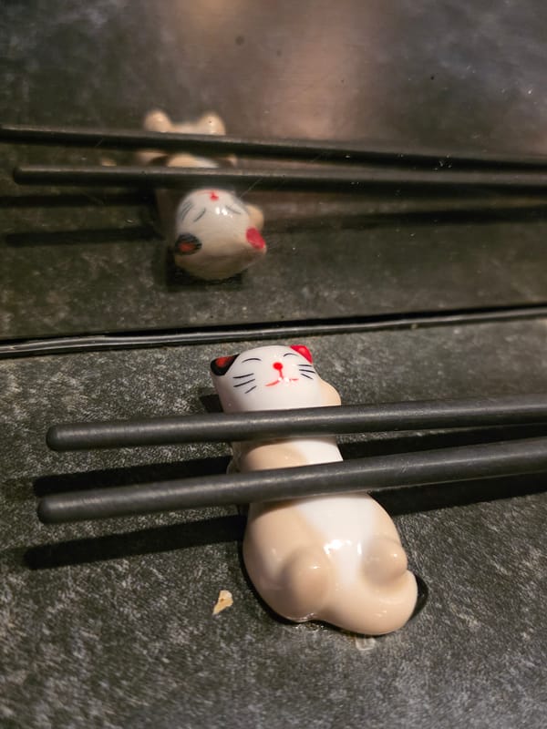 Late-night diners document conveyor belt sushi restaurant experience