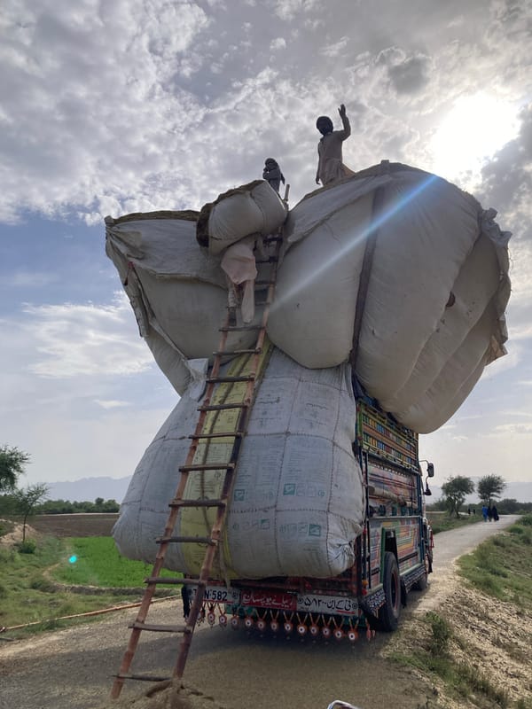 Workers load grain sacks onto decorated truck in Pakistan