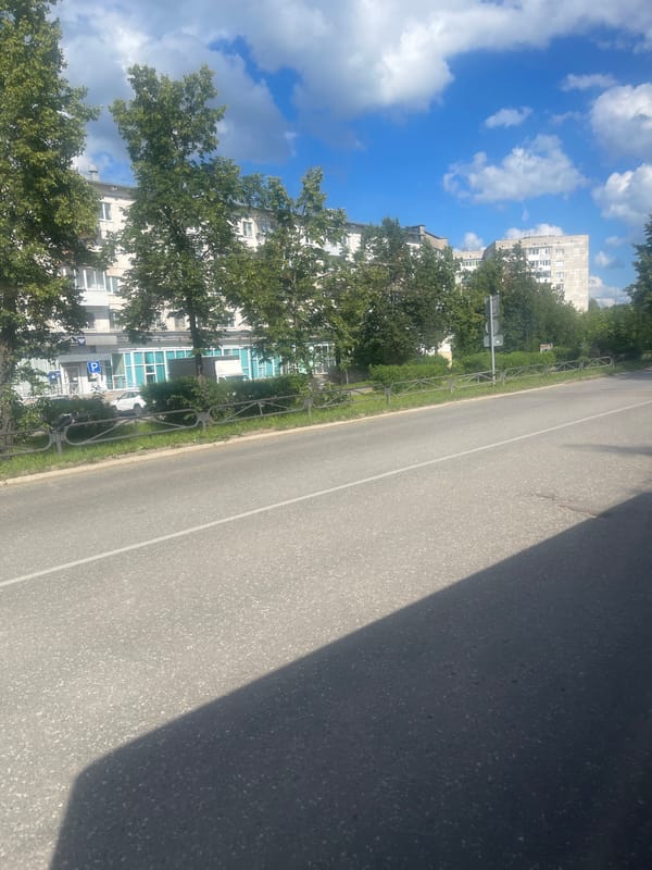 Summer day in Chaikovsky: lake swimming, judo training, and birch forests