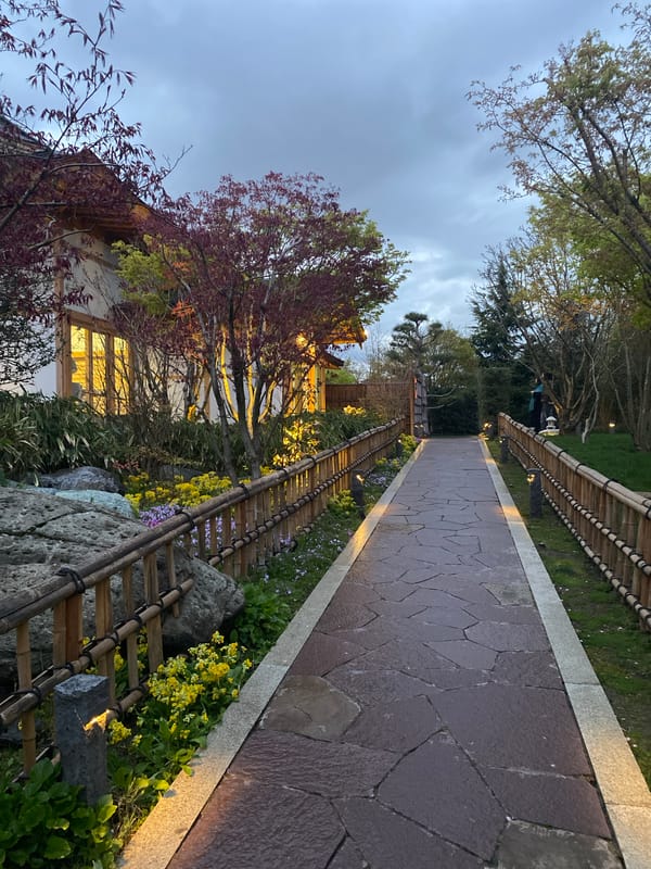 Japanese garden documented in Krasnodar during evening hours