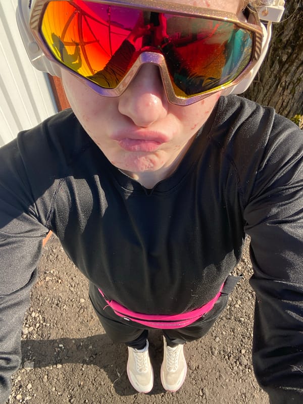 Spring scenes: pets indoors, muddy roads with melting snow