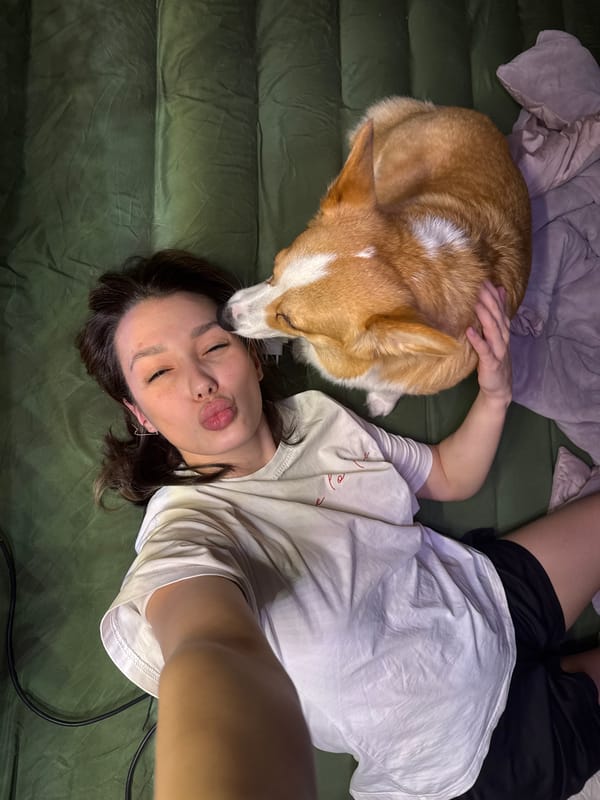 Quiet domestic moments with pets and selfies captured indoors