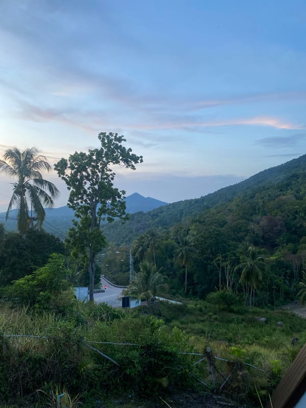 Witness documents tropical dusk scenery in Baan Kai, Thailand