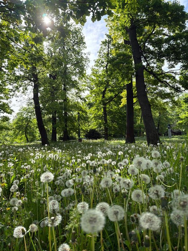 Morning park visit documented in Sofia, Bulgaria