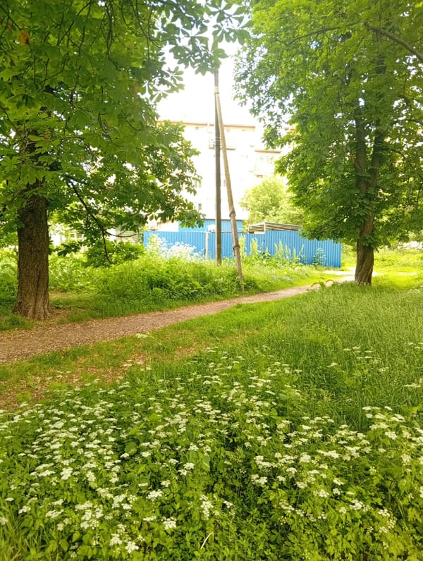 Spring day documented across Poltava Ukraine in 20 minutes
