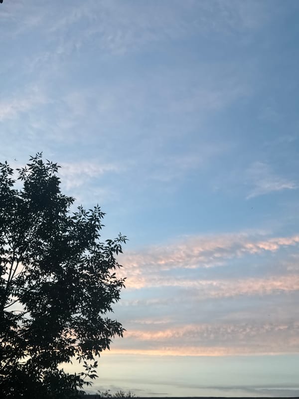 Evening sky and urban silhouettes in Orenburg, Russia