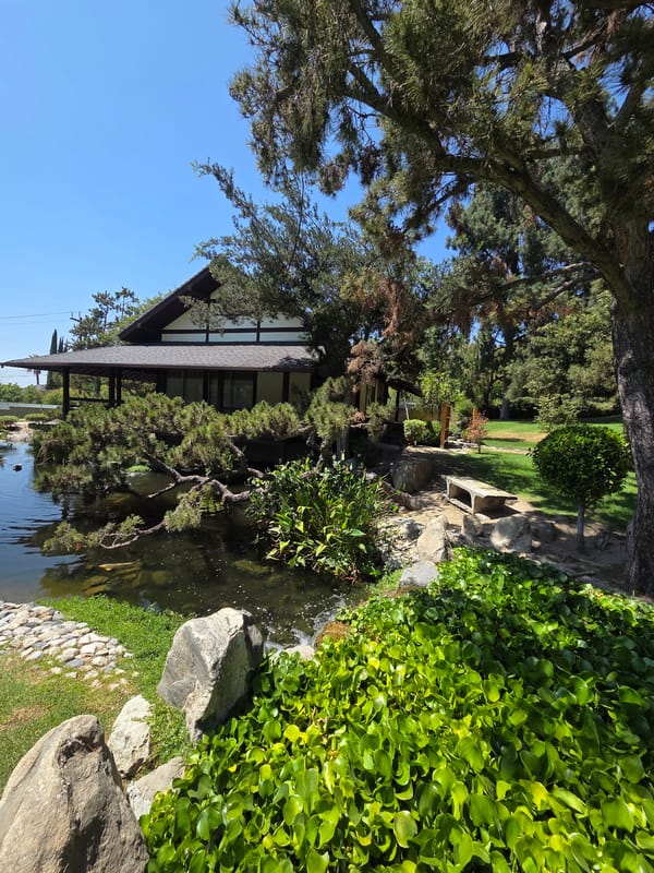 Afternoon in a Glendale Japanese garden: bridges, koi, and quiet water