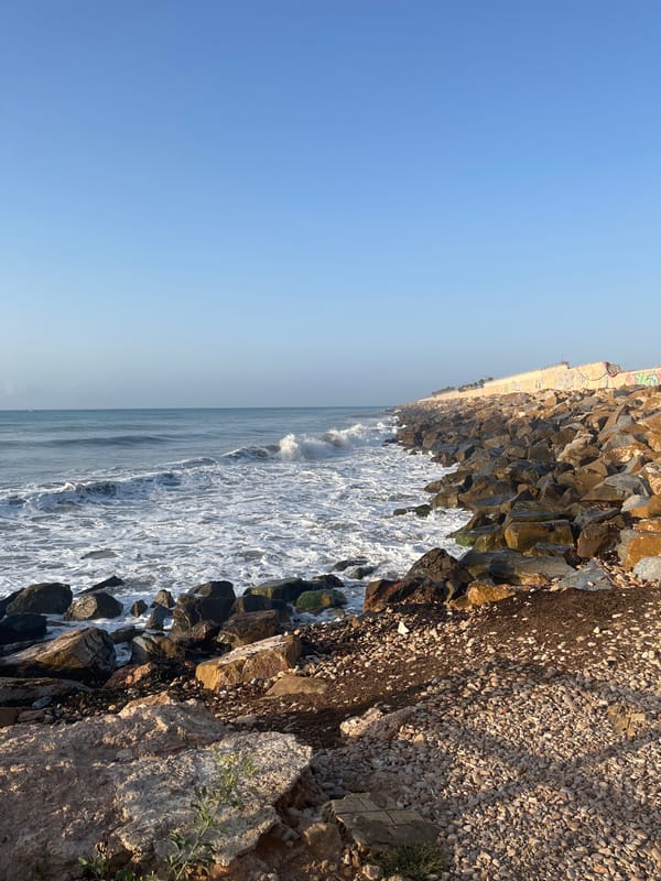 Torrevieja coastline, bronze musicians, and a sunbathing cat