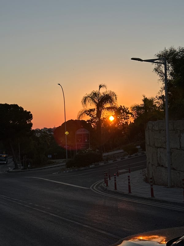Sunset stroll through Peyia's palm-lined restaurant strip