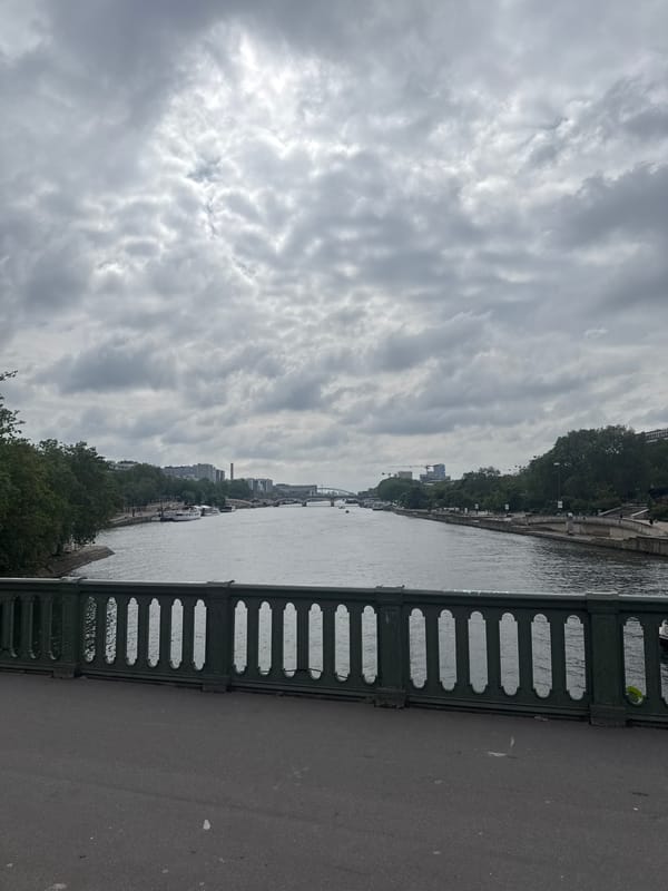 Cloudy morning view captured over Seine River in Paris