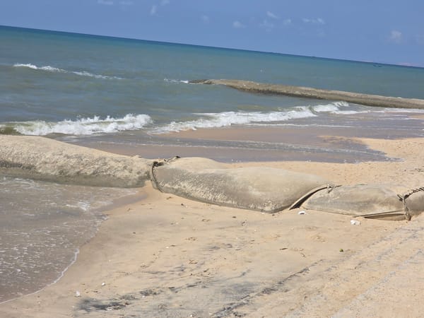 Beach erosion control and street snorkeler documented in Vietnam