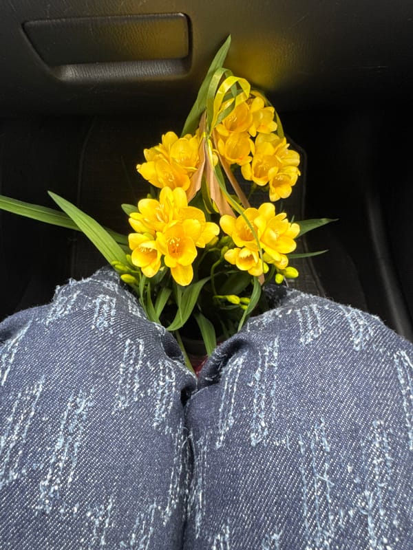 Yellow freesia bouquet spotted in car interior, Rudnik Bulgaria