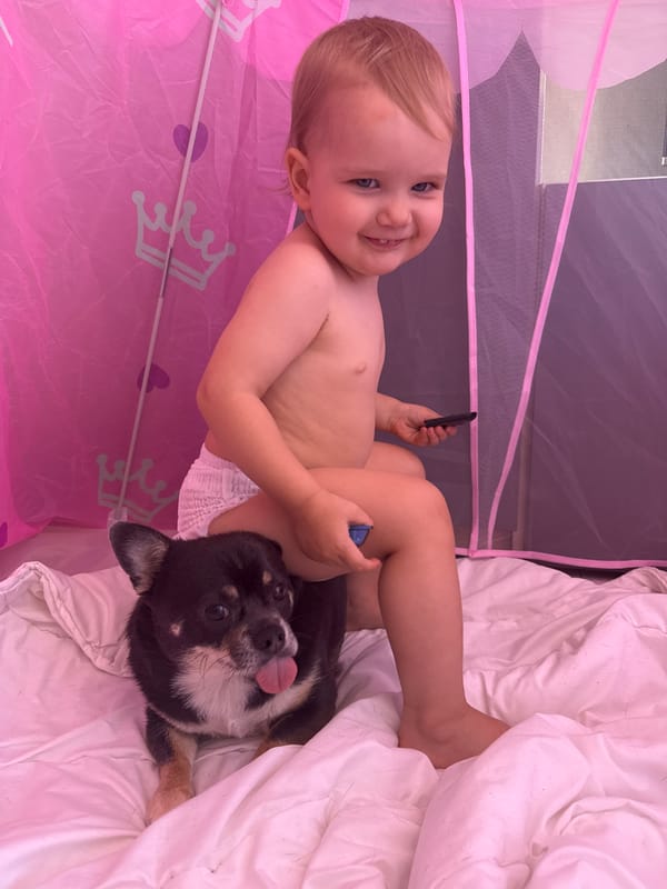 Baby and small dog share a relaxed moment on a bed.