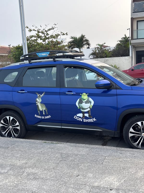 Shrek-decorated car parked on Veracruz coastal sidewalk