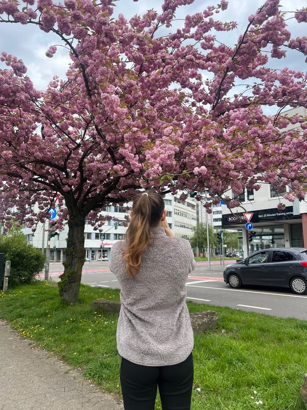 Woman enjoys cherry blossoms on Saarbrücken sidewalk