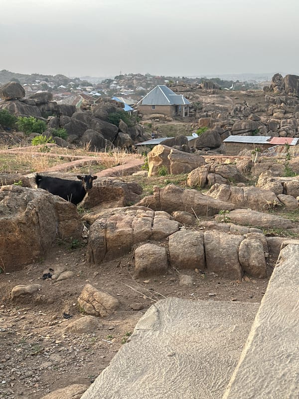Animals roam rocky hillsides in Jos, Nigeria residential area