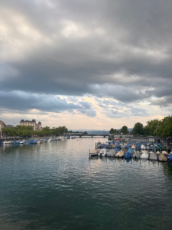 Tarp-covered boats sit moored along a quiet harbor shoreline.
