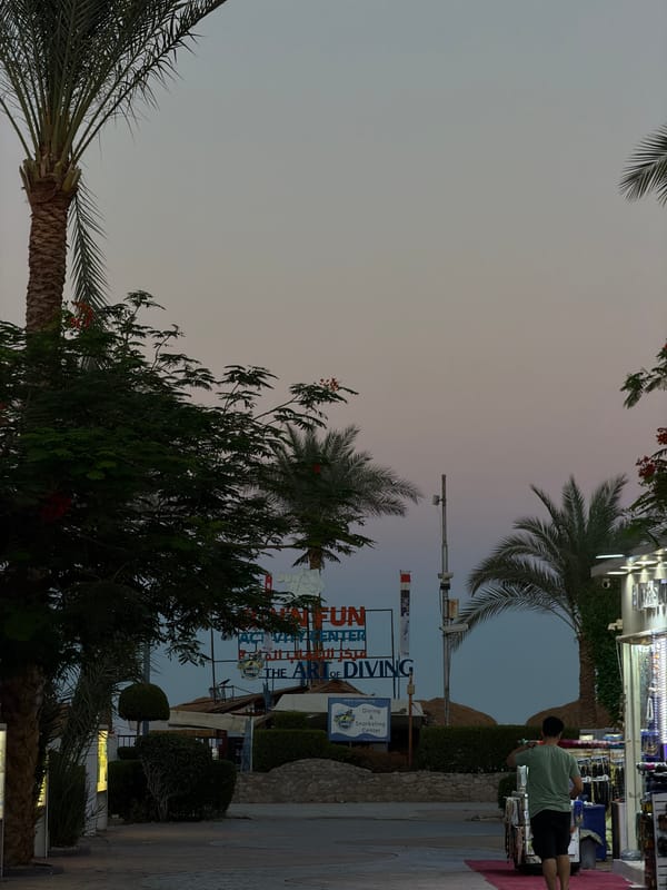 Sunset to nightlife along Sharm El Sheikh's resort strip