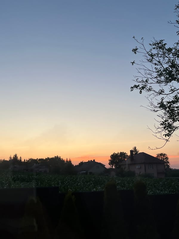 Summer evening at home in Koroviia: pool, pizza, garden at dusk
