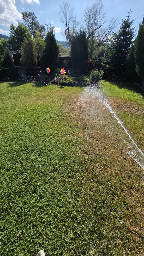 Quiet summer morning: garden watering and breakfast in Bania
