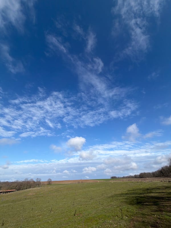 Rural landscape documented under partly cloudy skies in Priseltsi