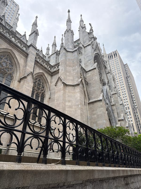 Person documents visit to St. Patrick's Cathedral area