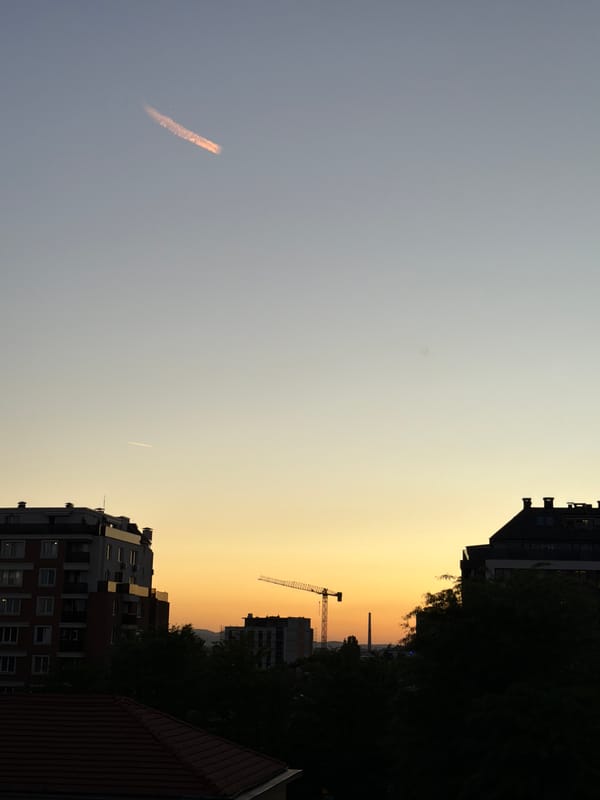 Witness documents everyday scenes: sunset, ducks, street life, household items