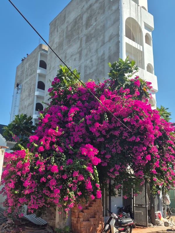 Beach day and art studio morning in Đà Nẵng