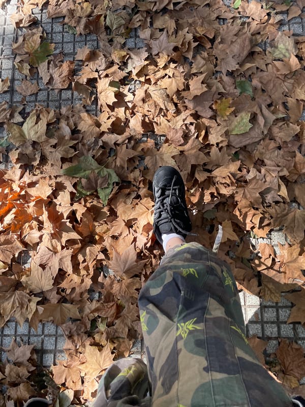 Person crosses leaf-covered street intersection in Buenos Aires