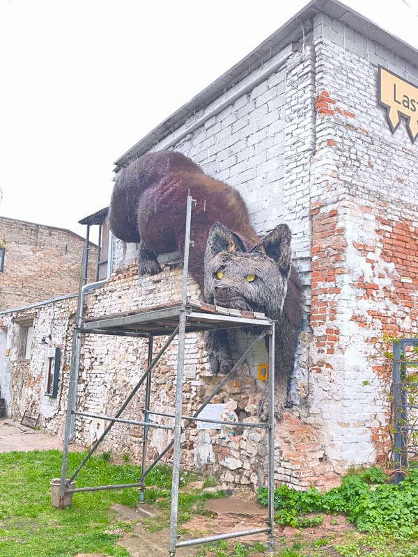 Woman observed near wolf sculpture on Riga building